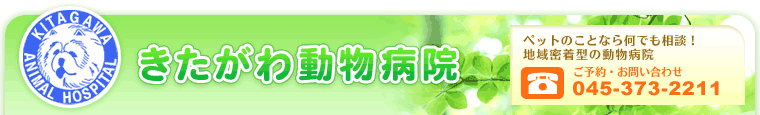 퓮a@ ybĝƂȂ牽łkIn斧^̓a@ \E₢킹 045-373-2211 
